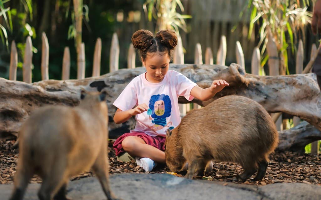 Capybara Interaction & Optional Brunch with Bali Zoo Tickets (Capybara Connection + Transfer)