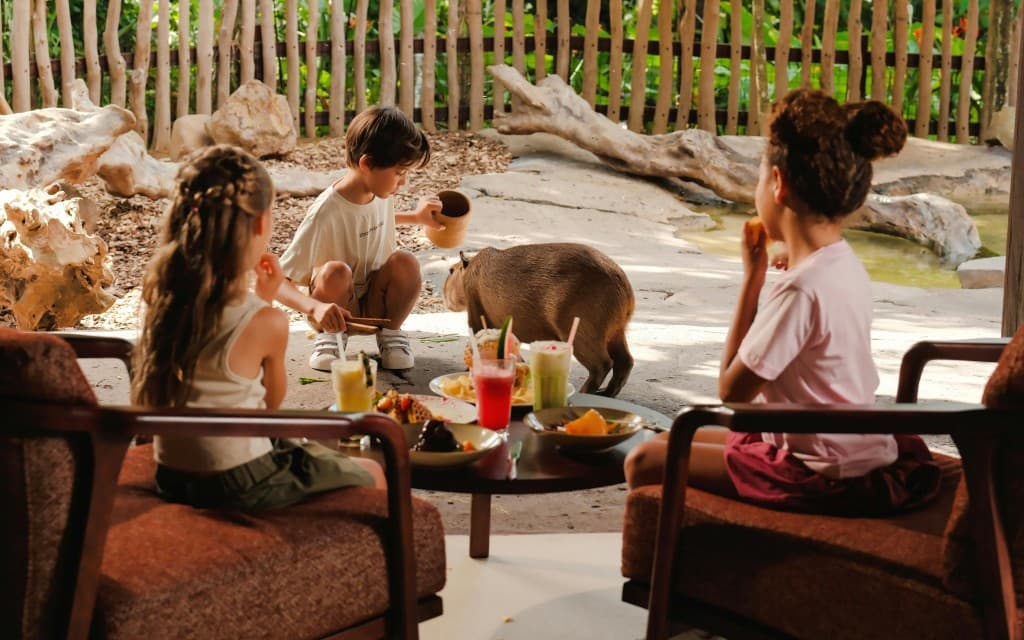 Capybara Interaction & Optional Brunch with Bali Zoo Tickets (Brunch with Capybara + Transfer)