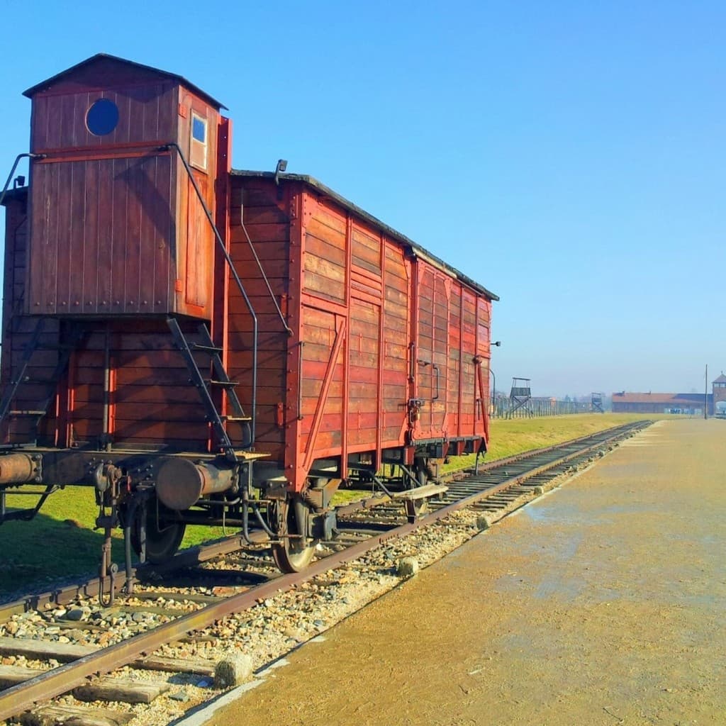 Auschwitz-Birkenau: Entry Ticket + Guided Tour
