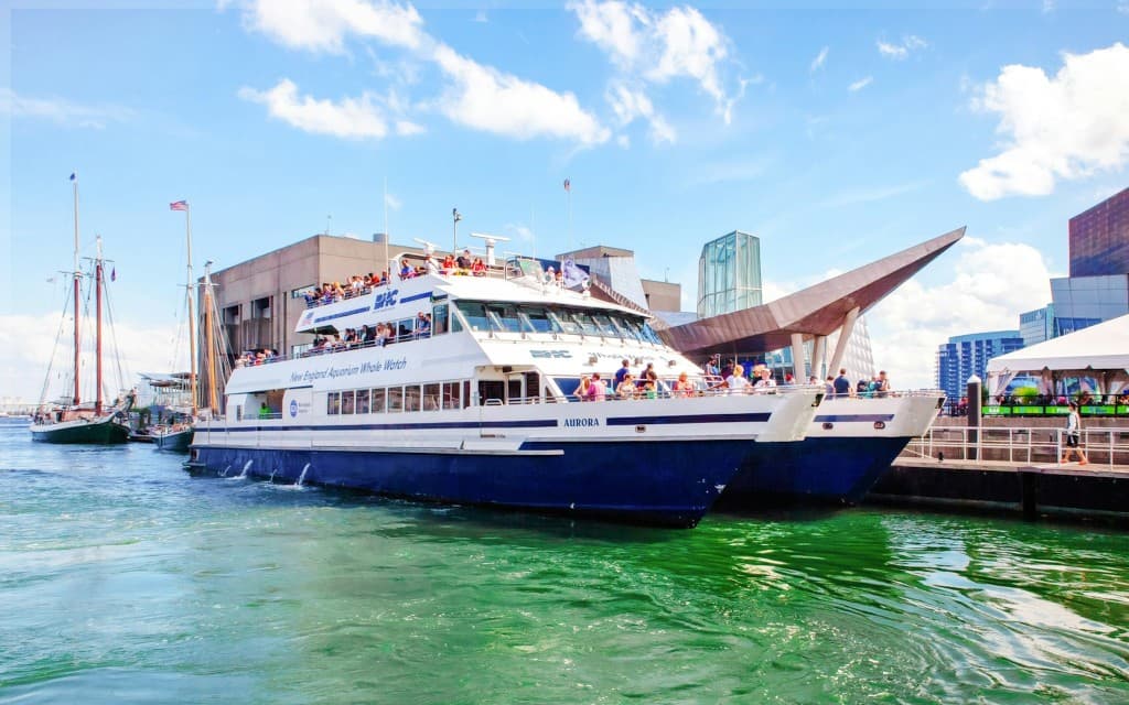 Boston Whale Watching Cruise by New England Aquarium (New England Aquarium Whale Watching)