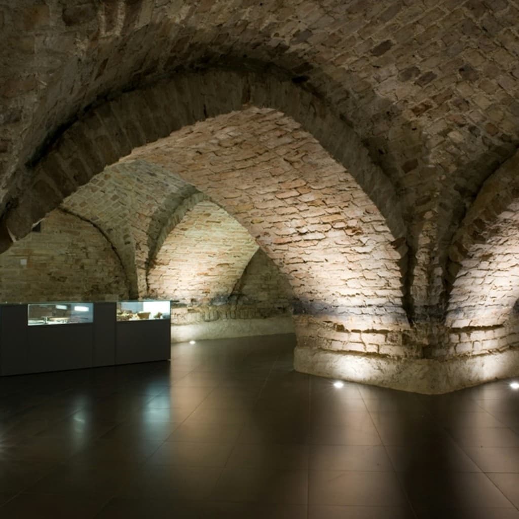 Crypts of Vilnius Cathedral: Guided Tour - Tour in English