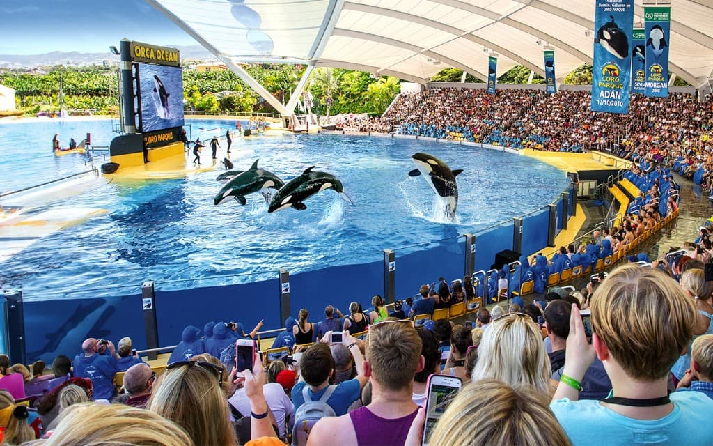 Loro Parque Entry Tickets (Entry Tickets)
