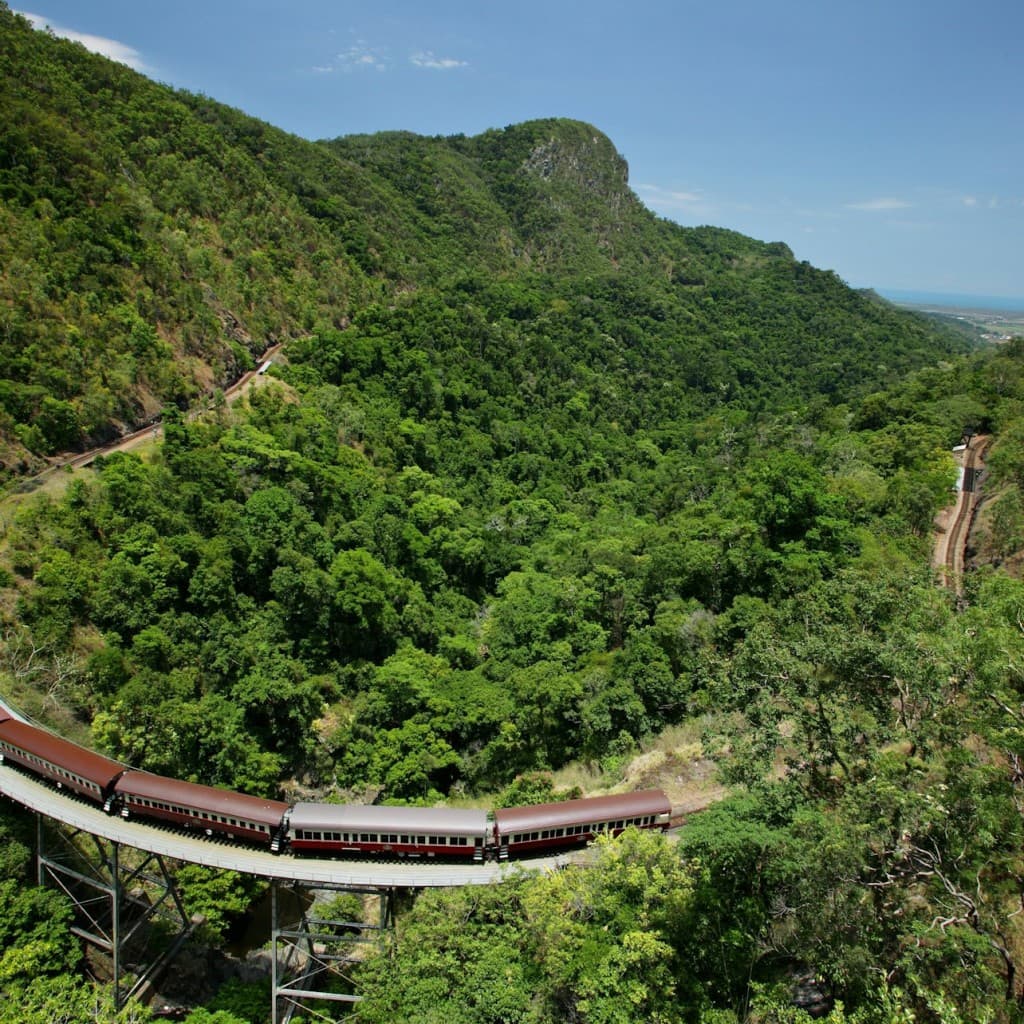 Self-Drive Kuranda Experience: Skyrail Rainforest Cableway & Scenic Rail