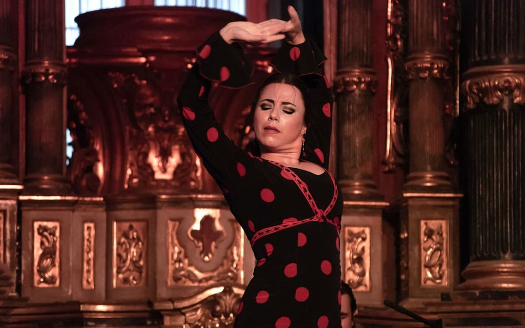 Tablao El Arenal - Flamenco Show (Flamenco Show with À La Carte Dinner)