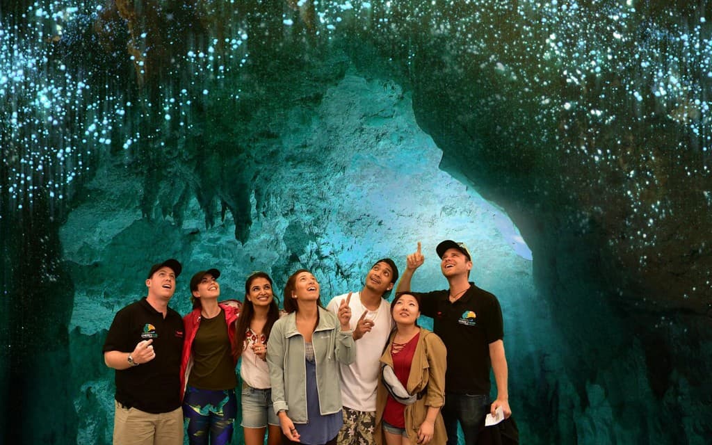 Waitomo Glowworm Caves Guided Tour (From Auckland: Waitomo Glowworm Cave Guided Tour )
