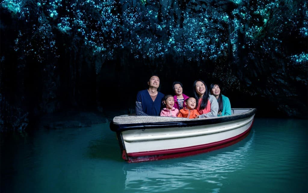 Waitomo Glowworm Caves Guided Tour (Waitomo Glowworm Cave Guided Tour)