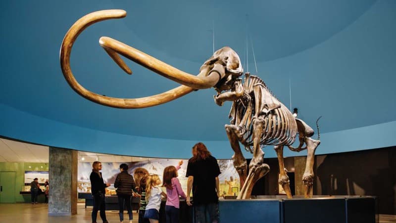 La Brea Tar Pits Museum