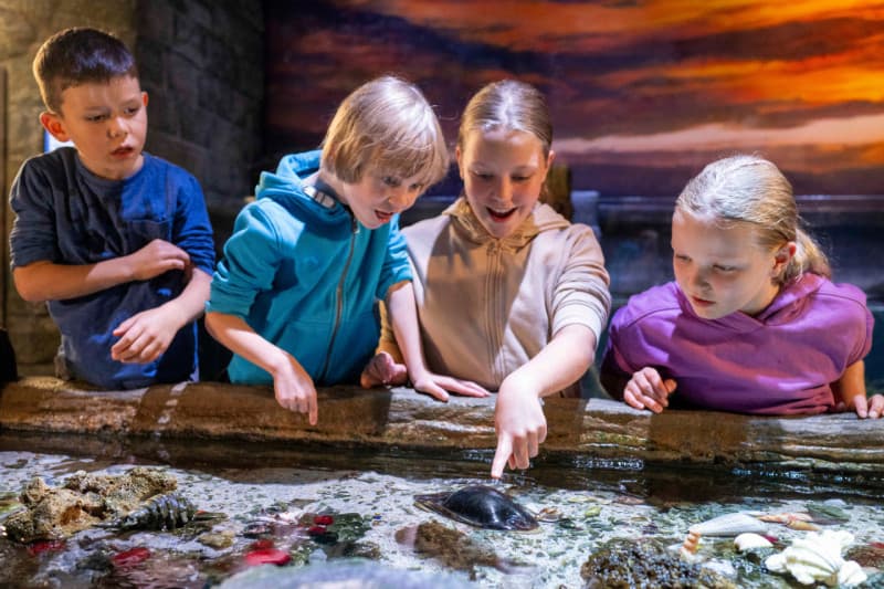 SEA LIFE Munich Aquarium Ticket