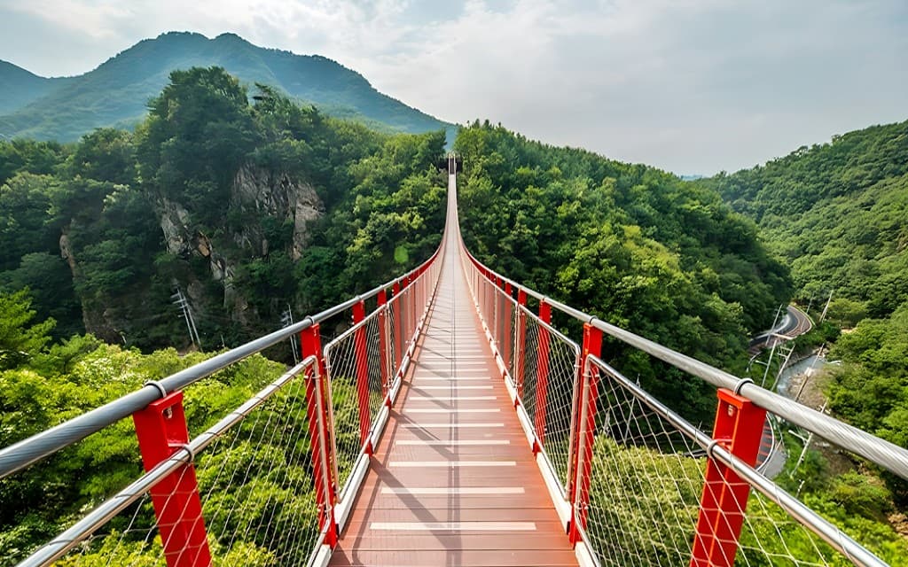 DMZ Full-Day Tour with Suspension Bridge Visit (DMZ Tour + Majang Reservoir Suspension Bridge)