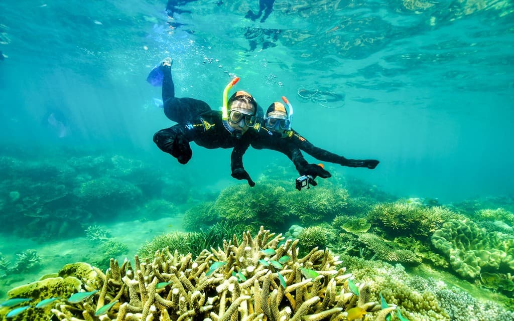 Da Cairns: 2 isole in un tour in giornata di Fitzroy e Green Islands (2 Islands Day Trip + Glass Bottom Boat Tour + Picnic Lunch )