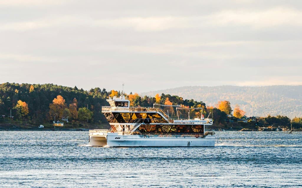 From Oslo: 2.5-Hour Silent Fjord Sightseeing Cruise with a Guide (Silent Fjord Cruise from Oslo)