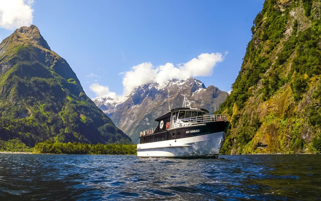 From Queenstown: Business Class Milford Sound Tour with Premium Cruise & Gourmet Lunch (Return by Road: Luxury Tour & Cruise)