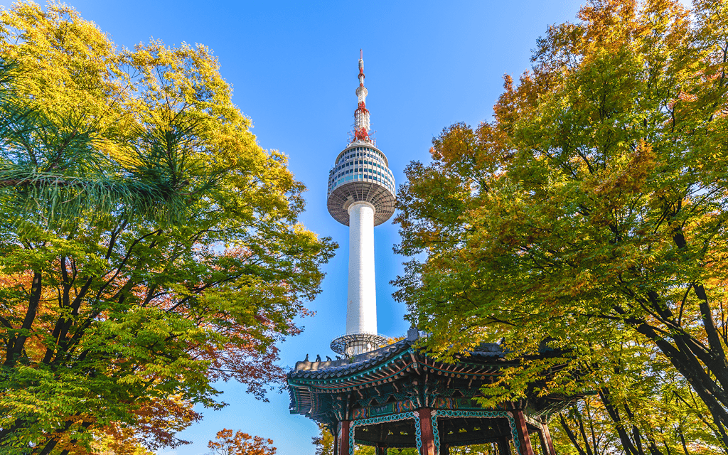 N Seoul Tower Observatory with Namsan Cable Car Round-trip Tickets (Ticket Pick-Up: Myongdong Rednow) (N Seoul Tower Observatory Ticket + Namsan Cable Car Round-trip Ticket)