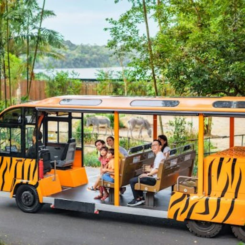 Singapore Zoo: Entry Ticket