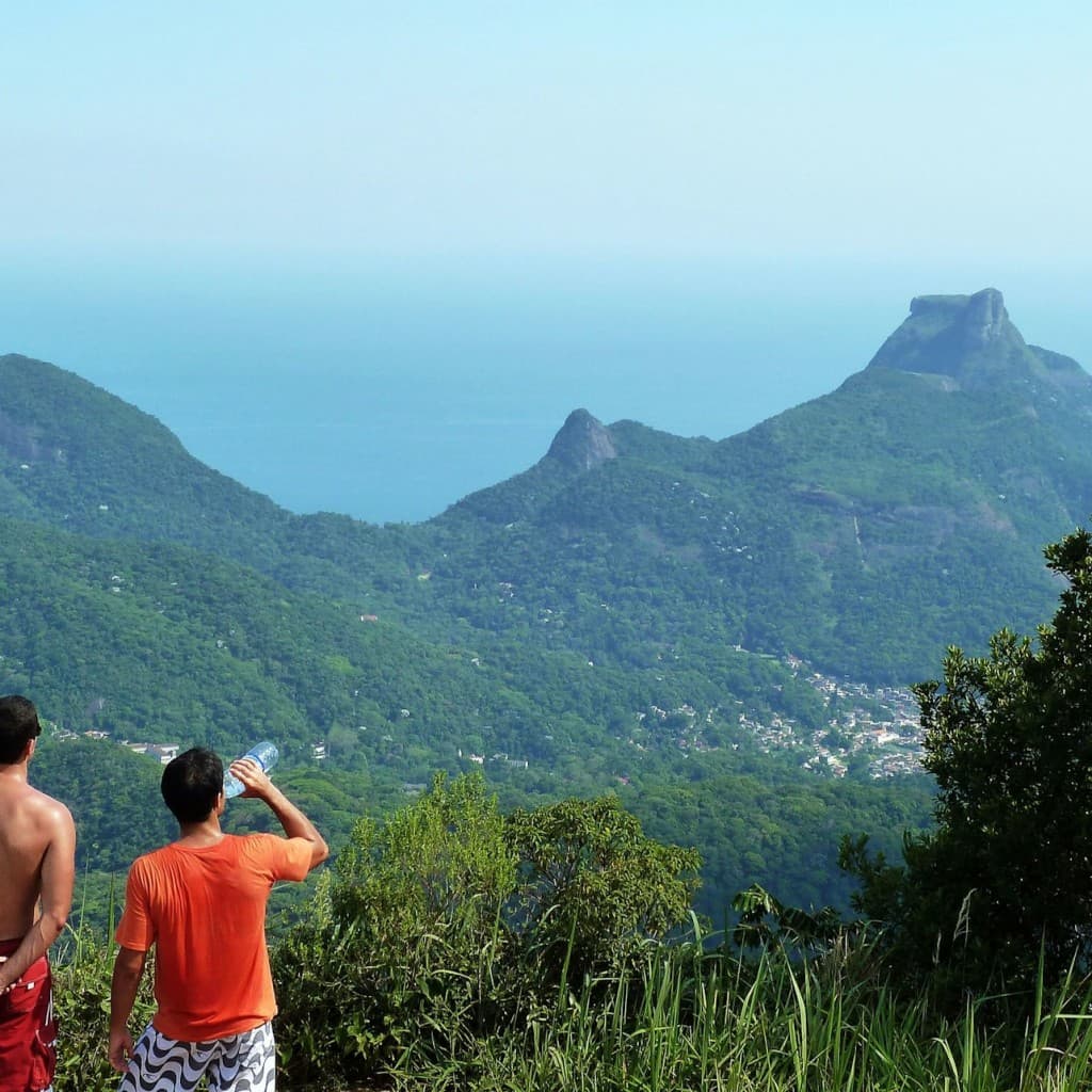 Tijuca Peak: Guided Hiking Tour + Hotel Transfer